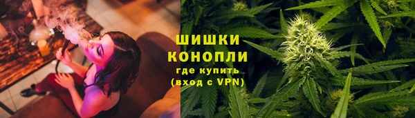 дживик Новодвинск