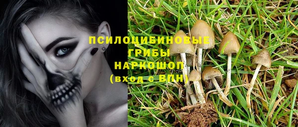 mix Алексин