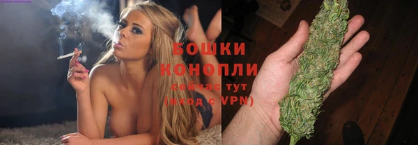 дживик Новодвинск