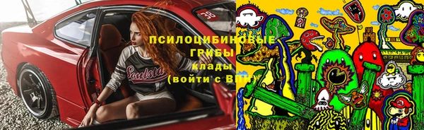 синтетический гашиш Новозыбков