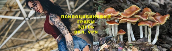 синтетический гашиш Новозыбков