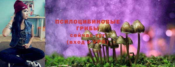 гидропоника Алзамай