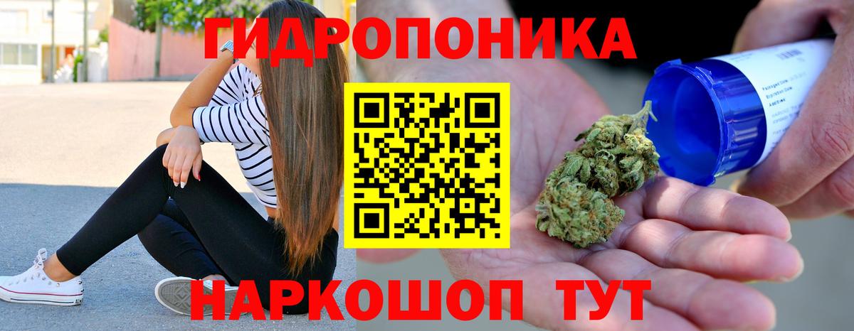 Сунжа  Бошки Шишки тримм  Каннабис Amnesia  Вход с VPN  МАРИХУАНА конопля 
