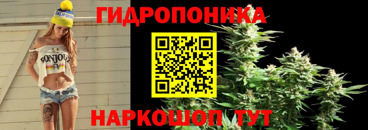 МАРИХУАНА конопля Сунжа